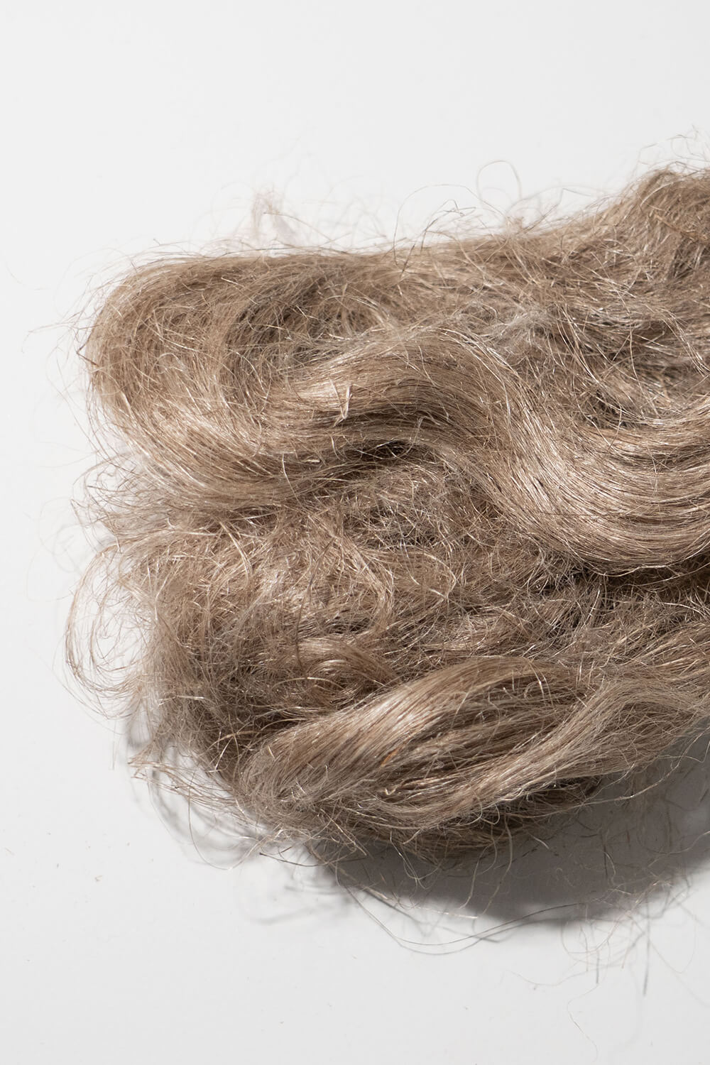 エジプトリネン