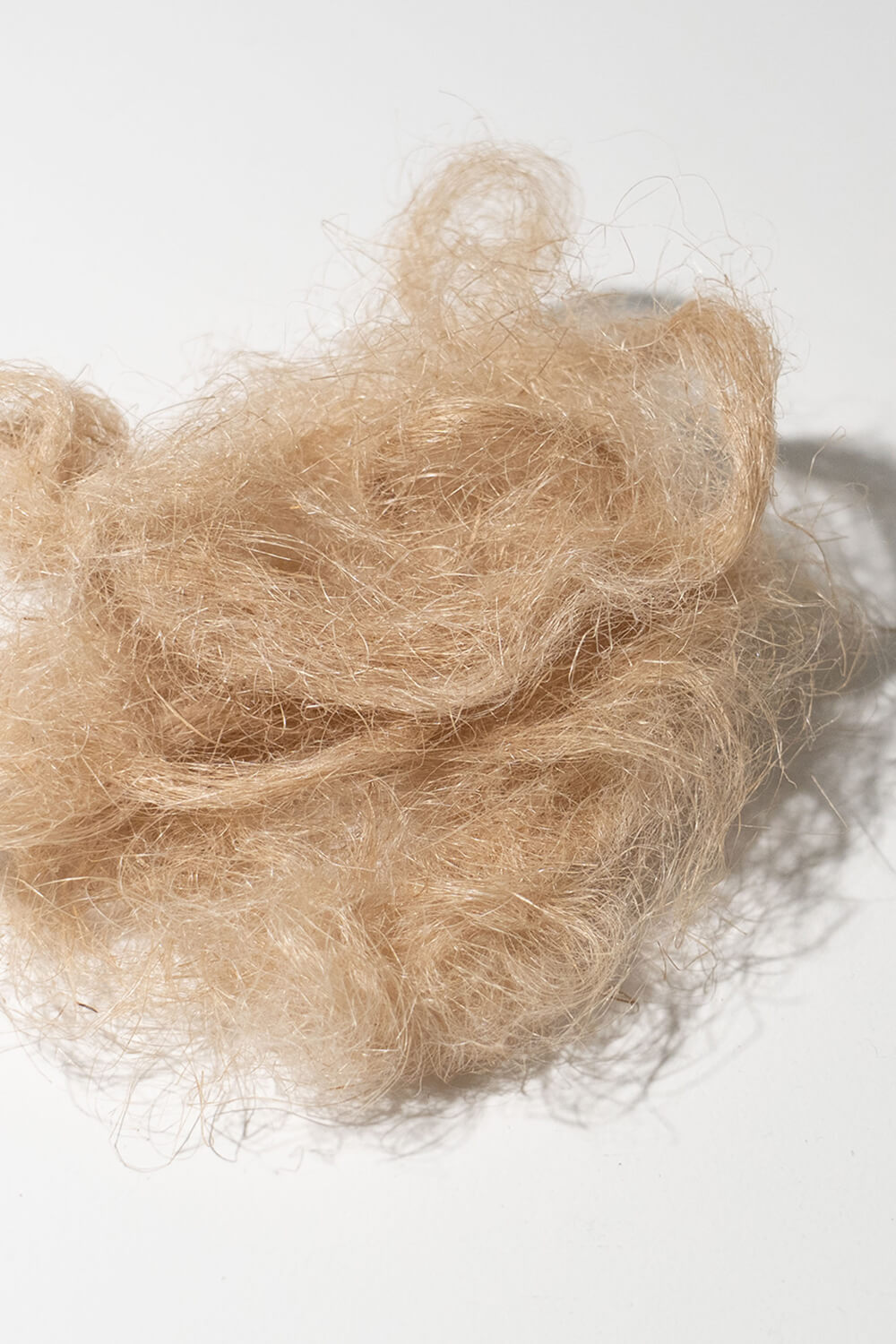 ヨーロッパリネン