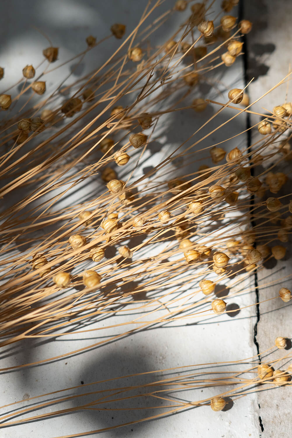 フラックスシード