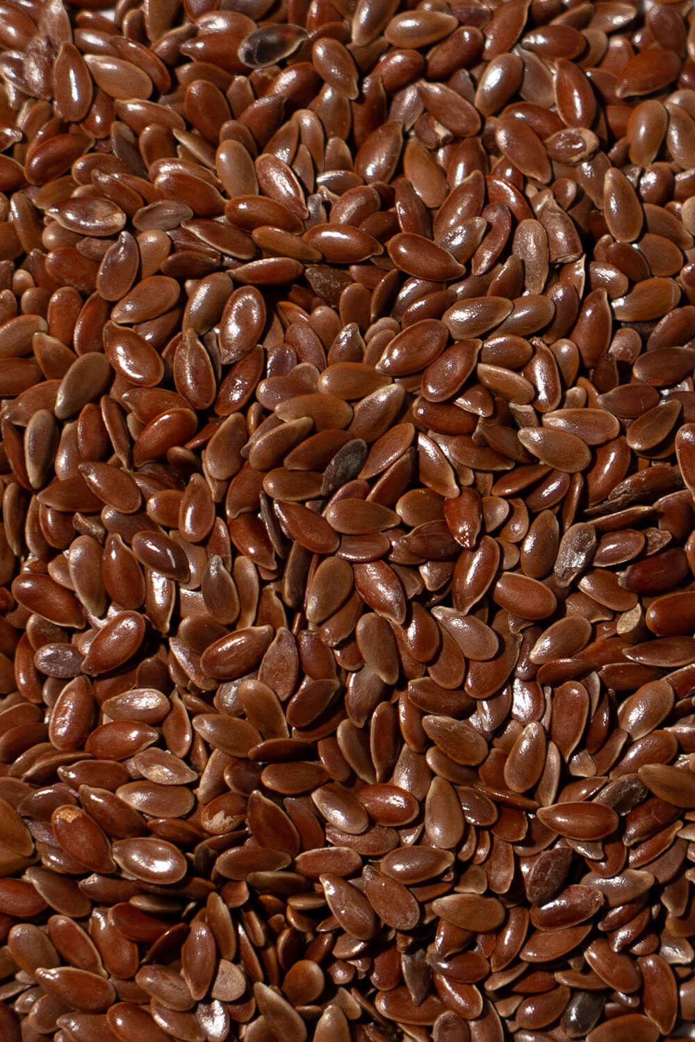 フラックスファイバー