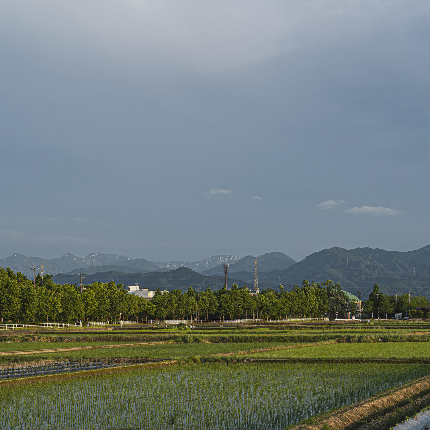 五泉市の田園風景