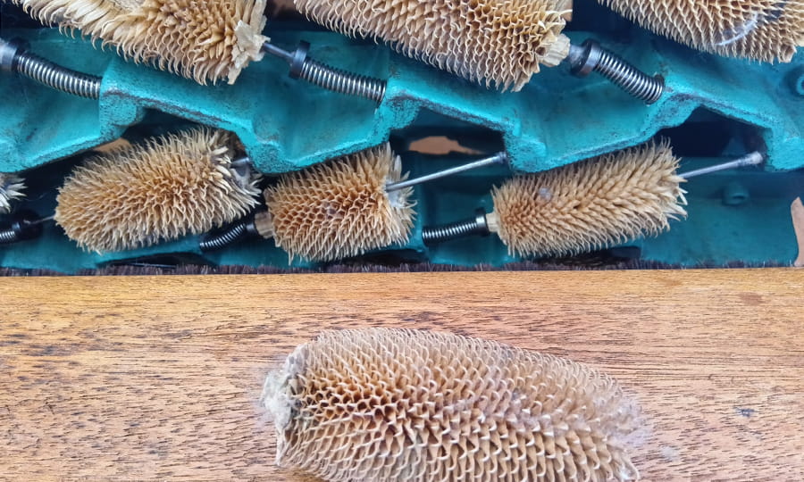 teasel knit